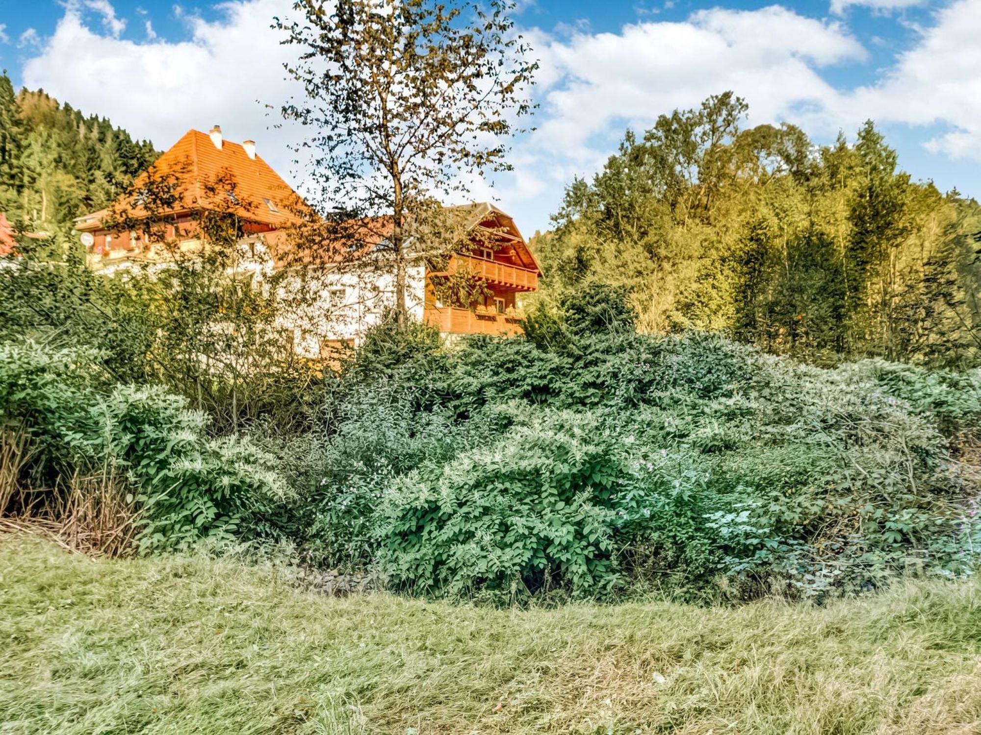 Apartment Thuringian Forest With Balcony Gießübel Bagian luar foto