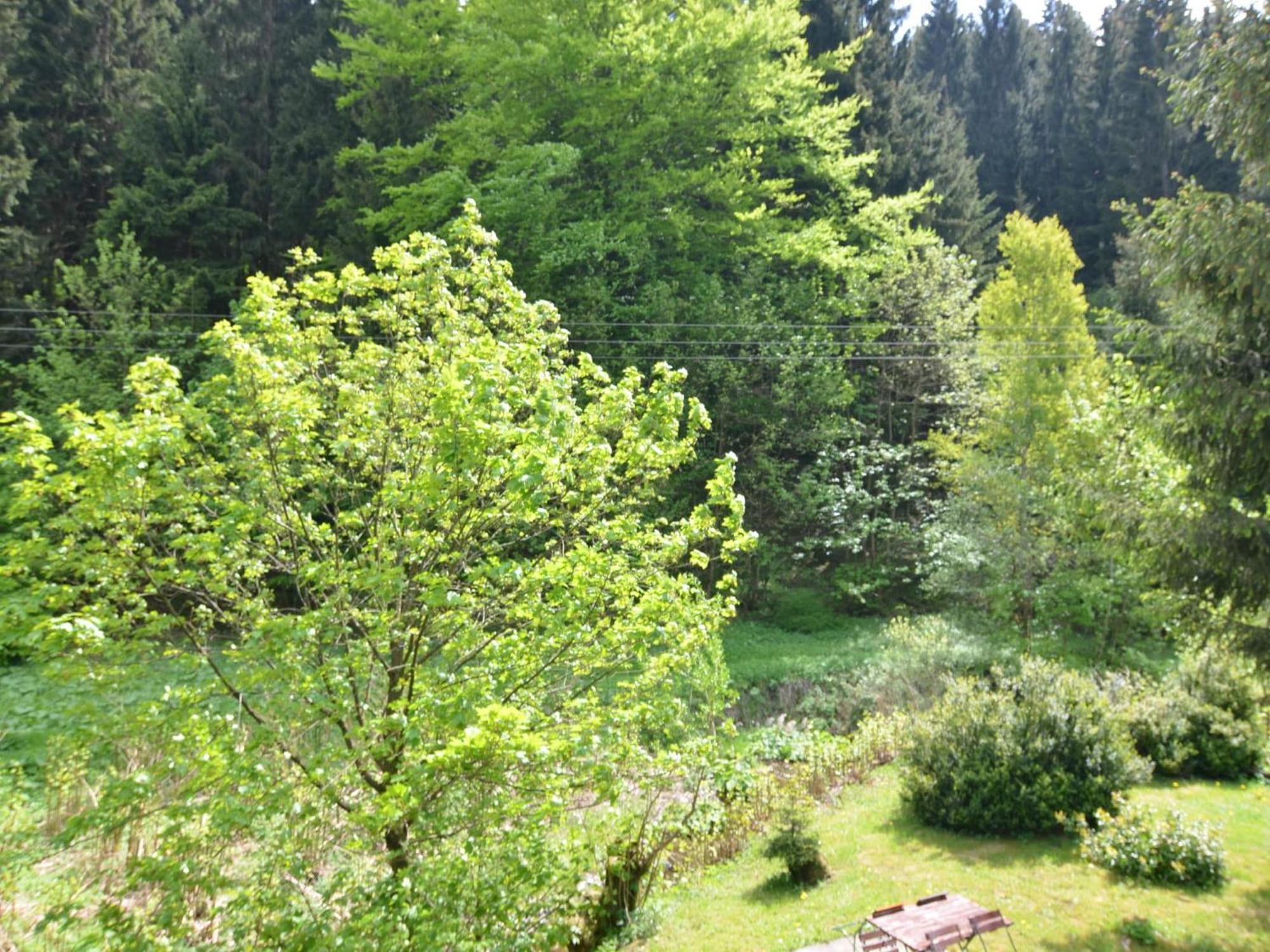 Apartment Thuringian Forest With Balcony Gießübel Bagian luar foto